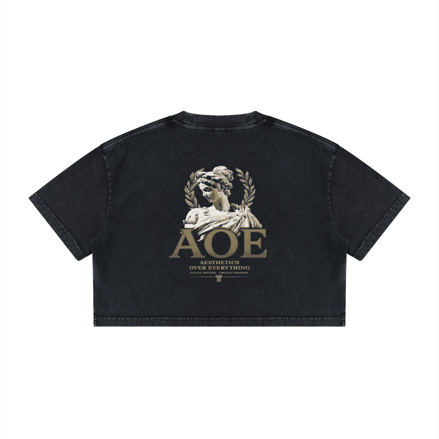 AOE Muse cropped tee, back print
