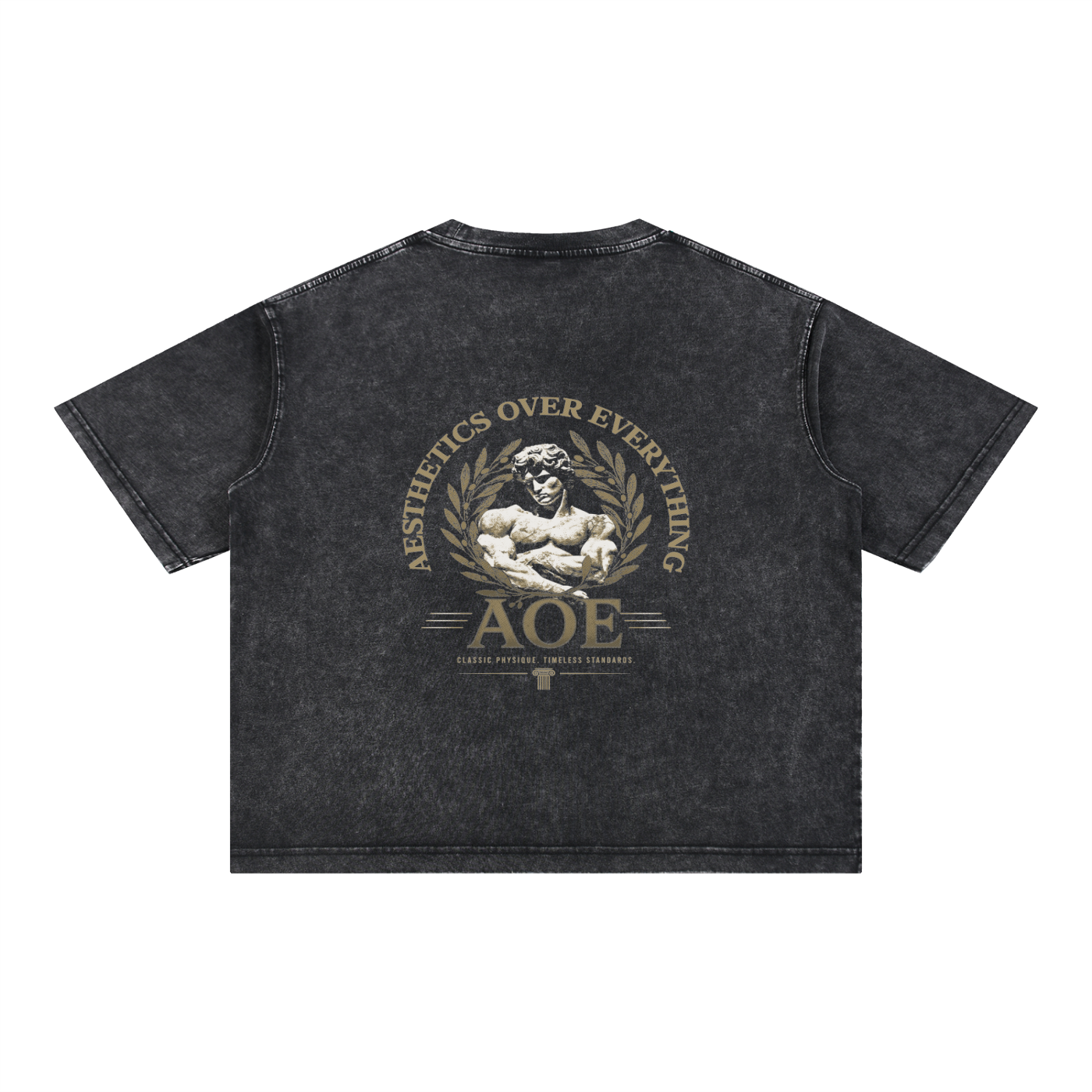 AOE Heavyweight Pump Cover, back print